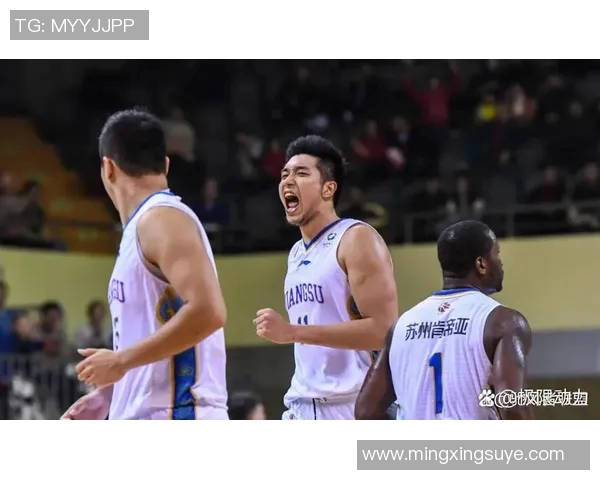 2014至2015赛季辽宁队与北京队的精彩对决回顾与分析