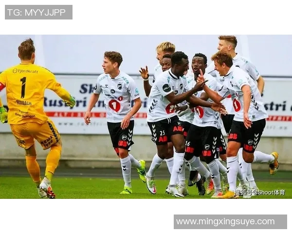 天狼星与马尔默对决前瞻分析及比赛结果预测