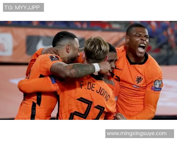 波黑对阵荷兰精彩直播全程回顾与赛后分析