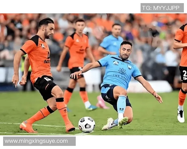 澳大利亚与荷兰主场球队激战在即谁能赢得这场精彩对决