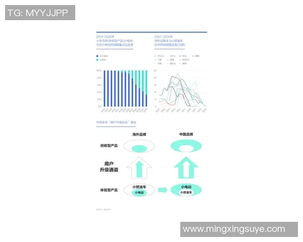 天猫与水星胜负差分析揭示电商竞争新格局与未来发展趋势
