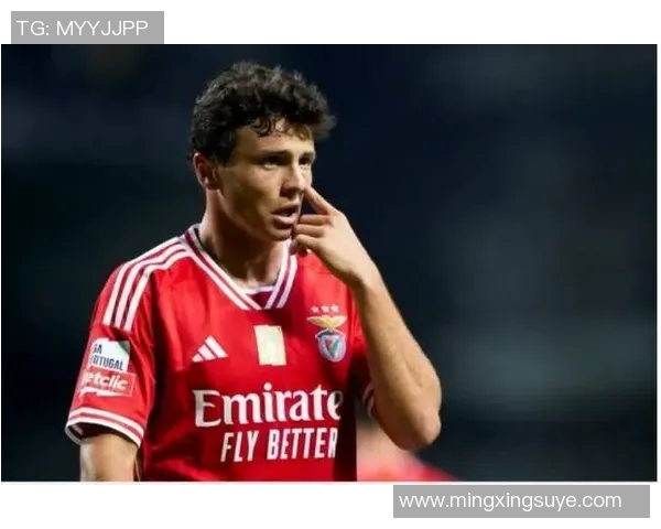 若昂内维斯：从新星崛起到球队核心的精彩旅程与未来展望