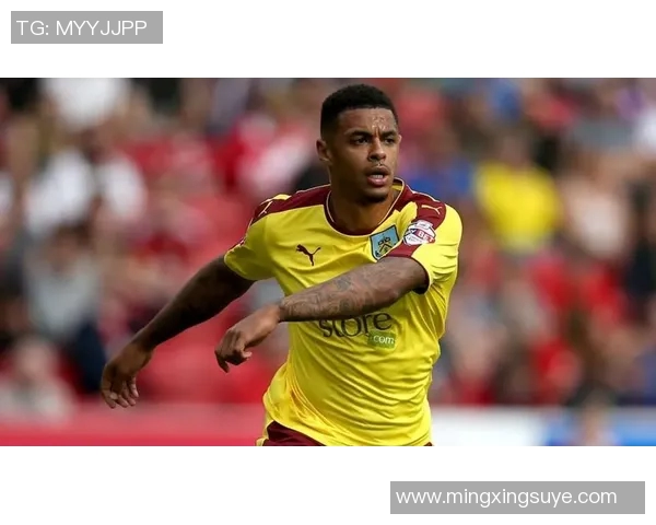 维拉与诺维奇对决前瞻分析及胜负预测解析