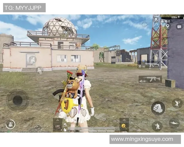 和平精英战术分析：LNG在包夹战术中的优势与不足探讨MBA