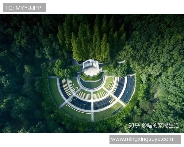 萨林杰的文学世界：探索孤独与反叛的心灵之旅