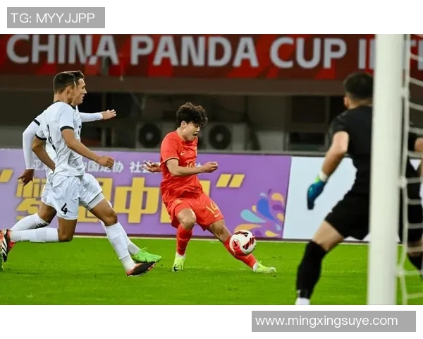 2017熊猫杯精彩对决中国队迎战伊朗队展现青春风采与拼搏精神