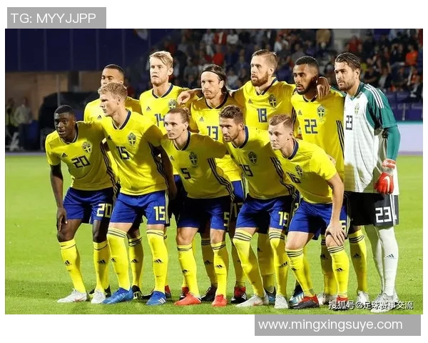 乌克兰与芬兰足球对决赛果揭晓引发热议分析