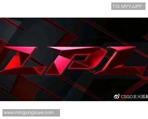 TES战术争议引发热议CSGO职业赛场的战术选择与团队协作探讨