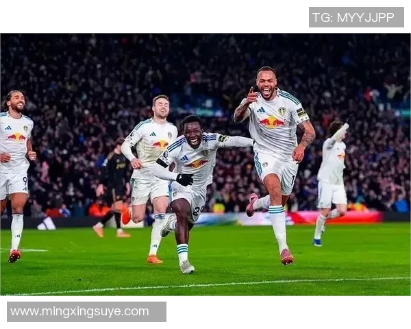 埃弗顿与利兹联对决分析及双方近期状态评估