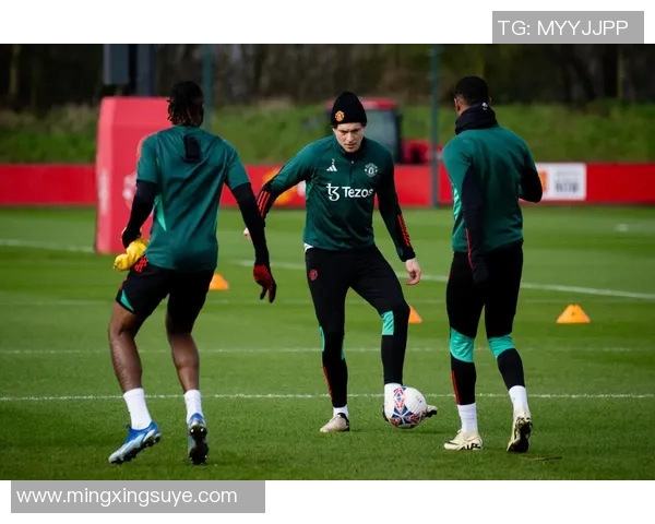 帕多瓦与莱切激战正酣赛况分析及精彩瞬间回顾