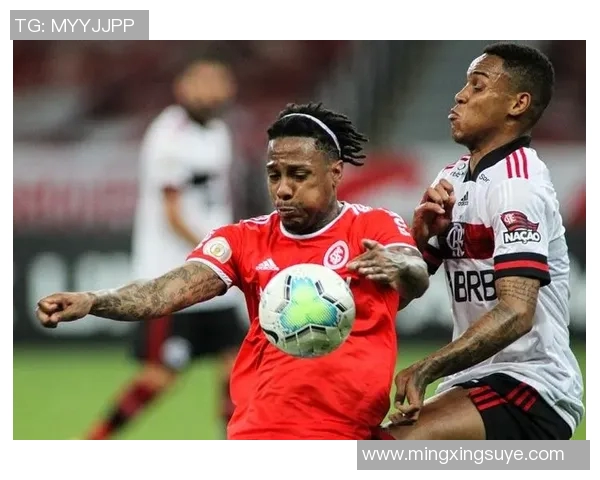 弗拉门戈与布拉干RBds的精彩对决分析与赛后点评