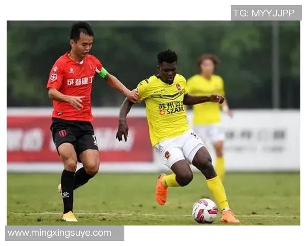 成都网球队战术引发热议球迷与专家各执己见探讨争议背后的深层原因