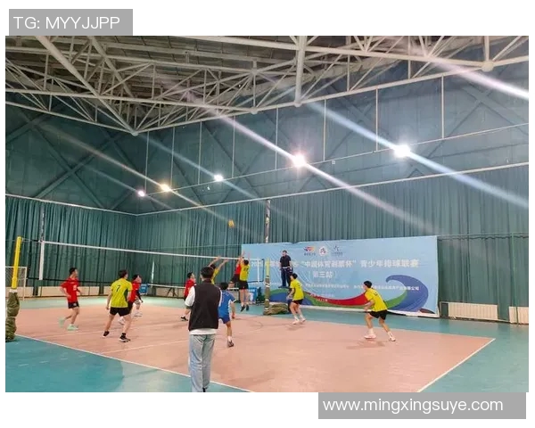 排球盛宴：深入解析南京排球队的默契配合与战术策略