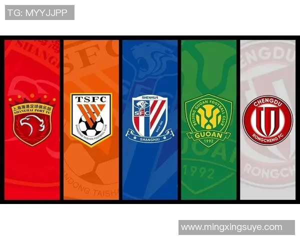 武汉排球队状态分析：聚焦球队表现与未来发展方向