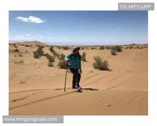 青年赛特别报道：FPX战队的崛起与挑战之路全景回顾