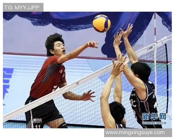 海瑞篮球明星的成长之路与未来发展展望