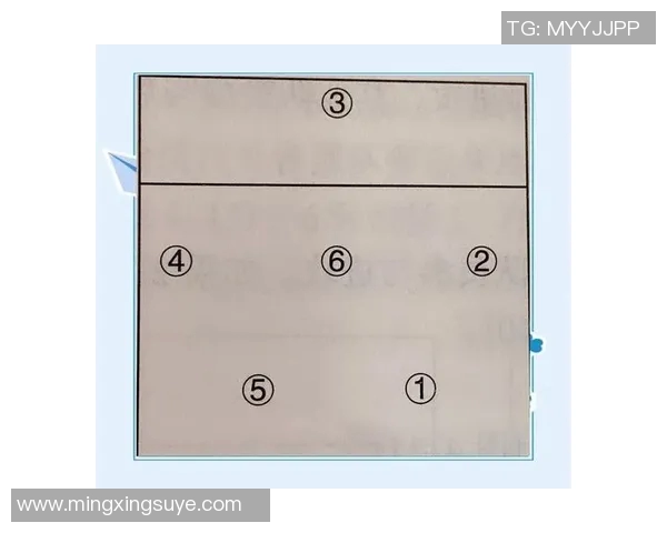 从零基础到高手之路：全面掌握排球速度技巧与训练方法