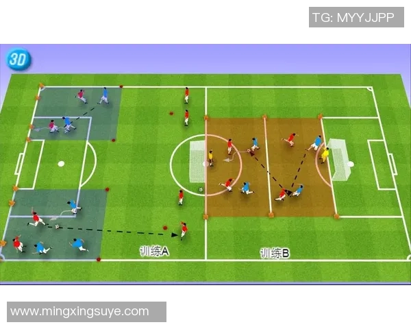 上海足球队快攻战术解析与战绩提升的深度探讨