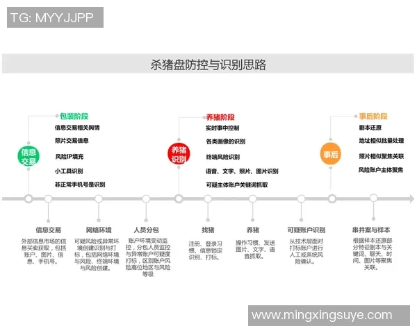 武汉滑板队的运营模式与发展策略深度解析